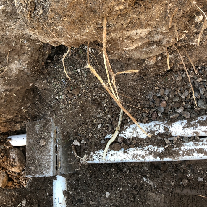 Leach Field Repair