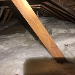 Fortify your home’s attic with high-quality insulation and strategic rodent-proofing.