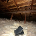 Lock in warmth and lock out pests with expert attic insulation and rodent-proofing.