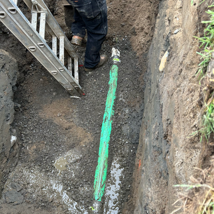 Additional Photos