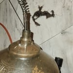 Clogged bathtub 🛀