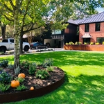 front yard circular bed around tree