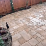 Back yard renovation