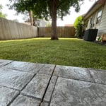 Sod Removal & Replacement