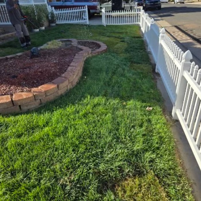 Landscaping Project