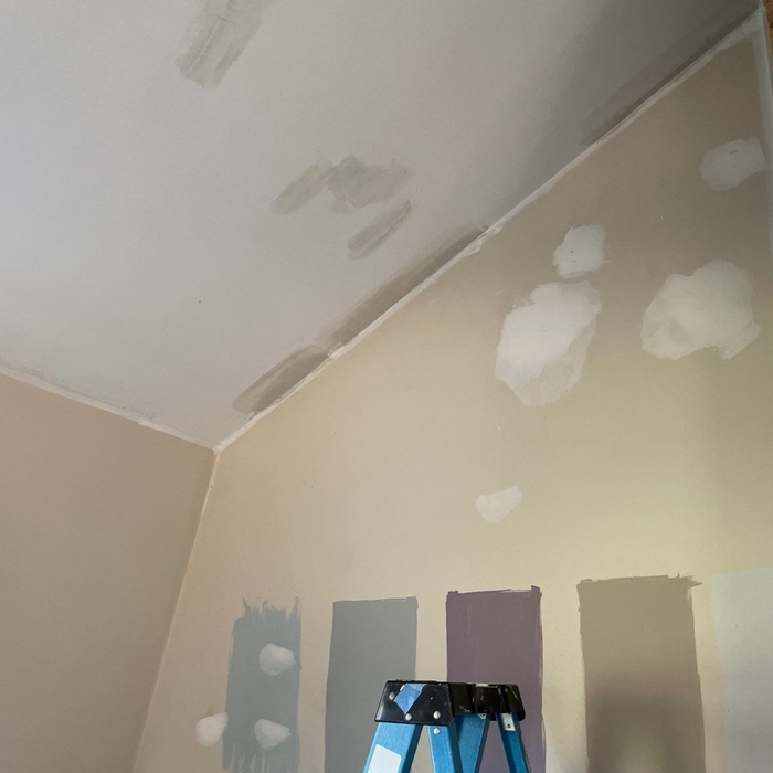 Interior Repaint