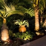 Palm and pot lighting in Weston