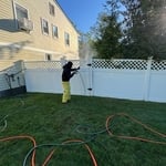 Fence cleaning