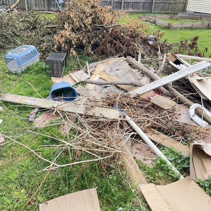 Backyard Clean up