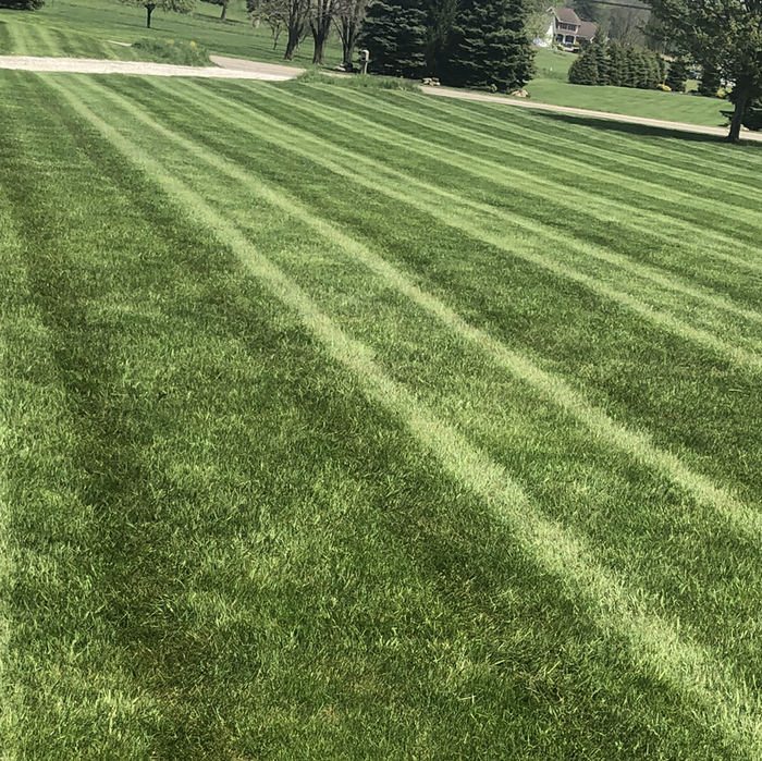 Lawn Care