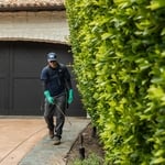 Landscape spraying