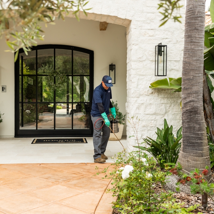Landscape spraying