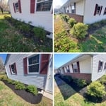 before and after