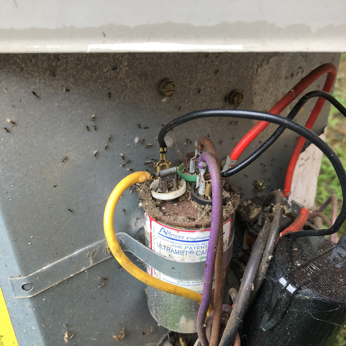 Additional Photos