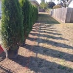 Landscaping Project