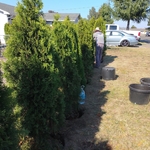 Landscaping Project
