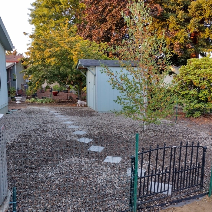 Additional Photos