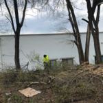 Additional Photos