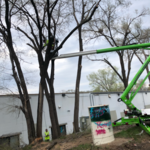 Additional Photos