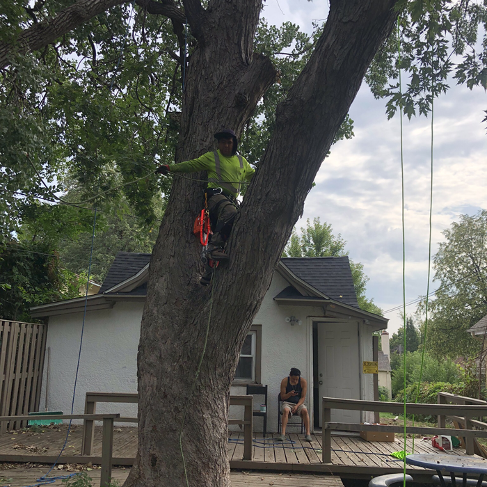 Additional Photos