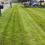 Lawn Maintenance
