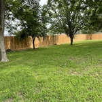 Privacy Fence Replacement, Athens