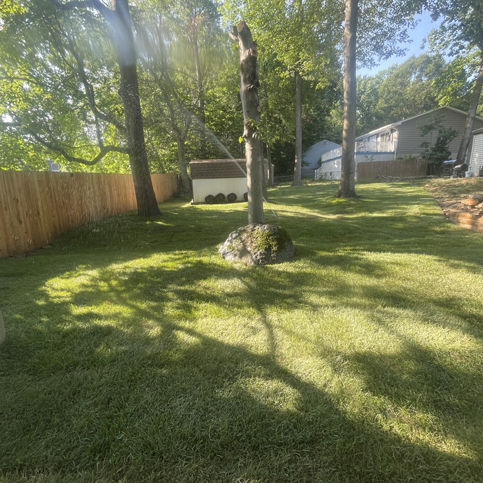 Additional Photos