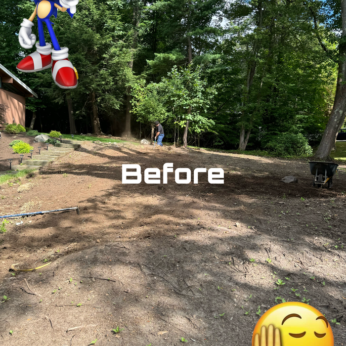 Additional Photos