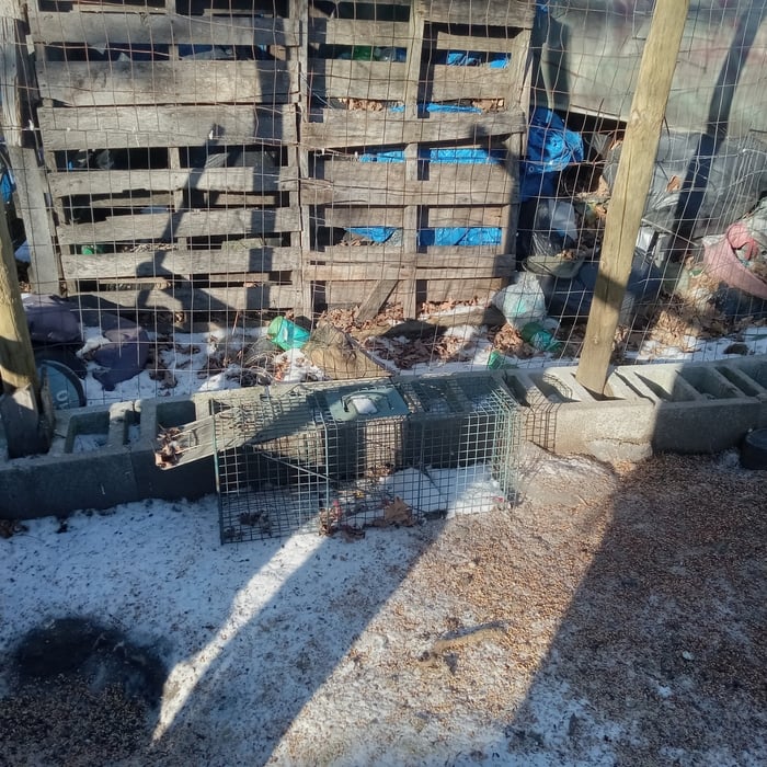 Trap Set and now we wait