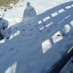 Tracks