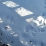 More tracks