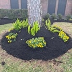 Mulching