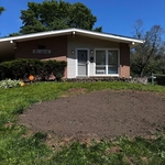 stump removal
