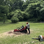 Stump removal
