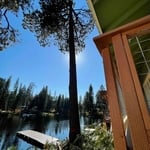 Hazard tree removal
