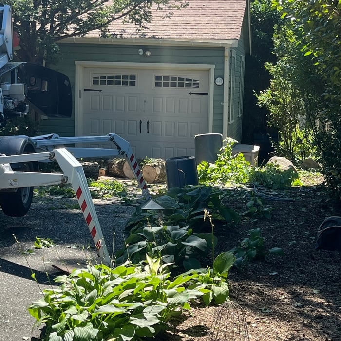 This is a picture of how tight the drop zone was in the neighbors driveway around landscape plantings in landscape lighting