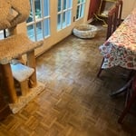 Wax and Buff Floors
