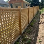 Fencing Project