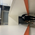 Moving Companies Project