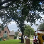 Tree Service Project