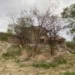 Tree Service Project