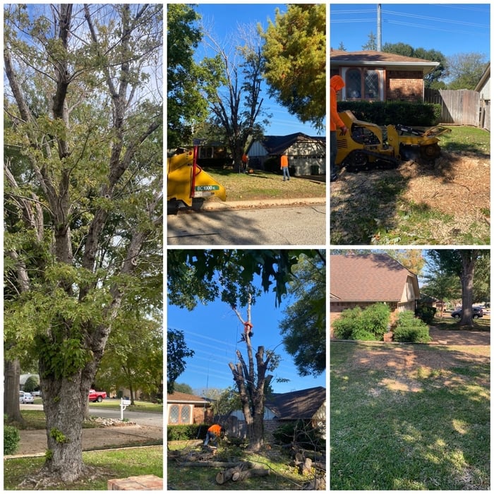 Tree Service Project