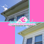 gutter and soffit softwash