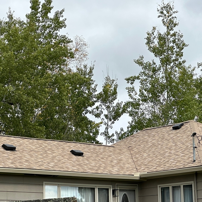 Replace asphalt roof