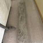 Carpet Cleaning Project