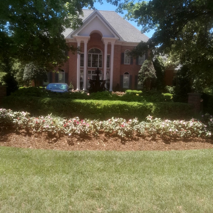 Additional Photos