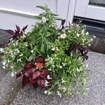 Outdoor Container design