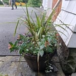 Outdoor Container design