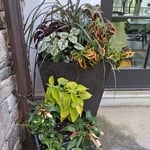Outdoor Container design