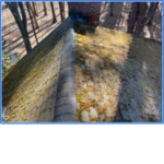 Wayland Roof Restoration